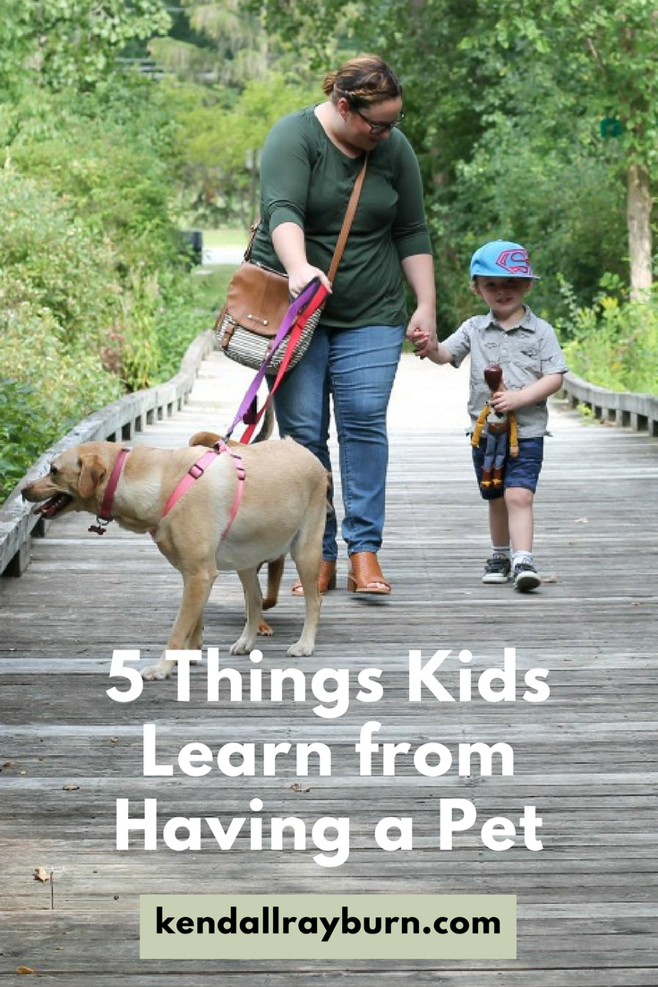 5 Things Kids Learn From Having A Pet